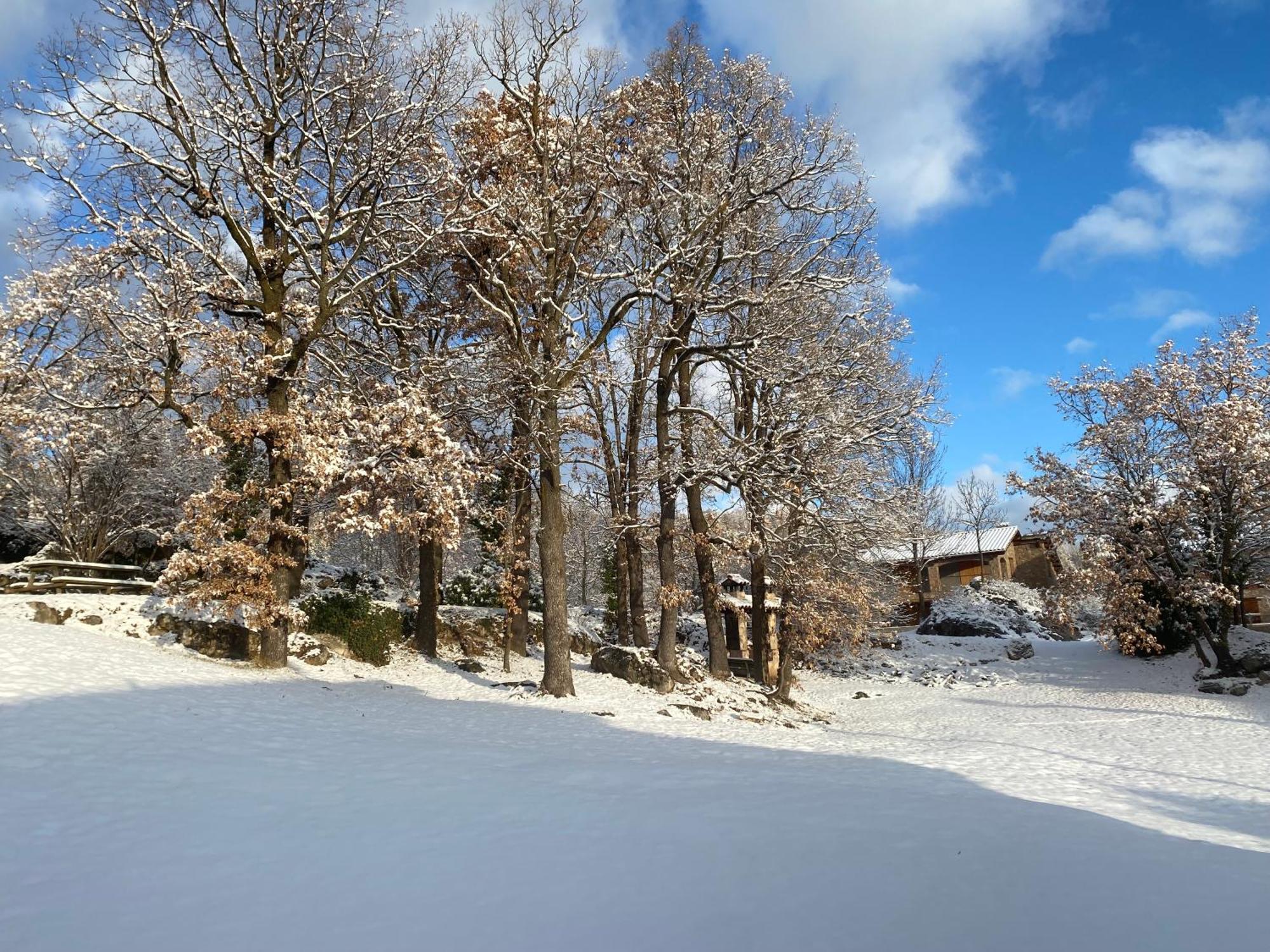 Cal Carol Apartment Vallcebre Bagian luar foto